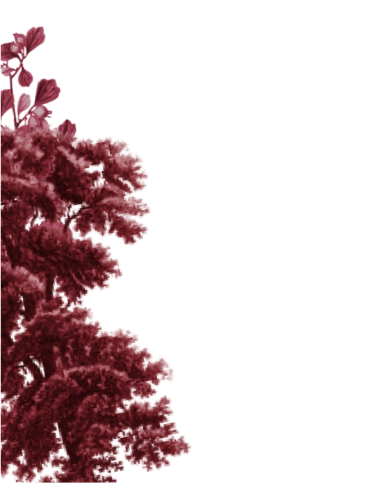 Bl 2Java Maroon