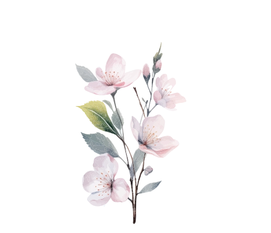 Bottom 1 (1) Flower Majestic
