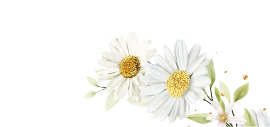 Bottom 2 (1) Flower Majestic r