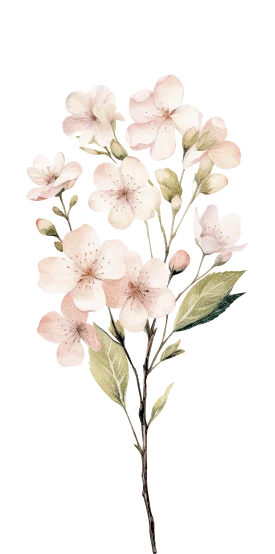 Top 3 (1) Flower Majestic