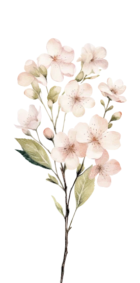 Top 3 (1) Flower Majestic